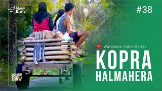 KOPRA HALMAHERA - Ekspedisi Indonesia Biru #38