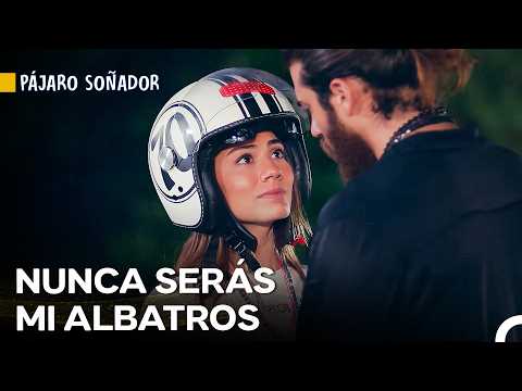 Aceptación Dolorosa...💔- Pájaro Soñador