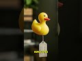 The Largest Collection of Rubber Ducks in the Worl