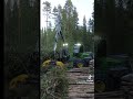 #forest #johndeere