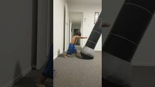 Little boxer #music