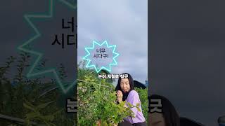 🍇블루베리 두 번째 수확! 근데... 덜 익은 거 먹었다가?! 😂