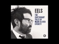 EELS - Millicent Don't Blame Yourself - (audio stream)