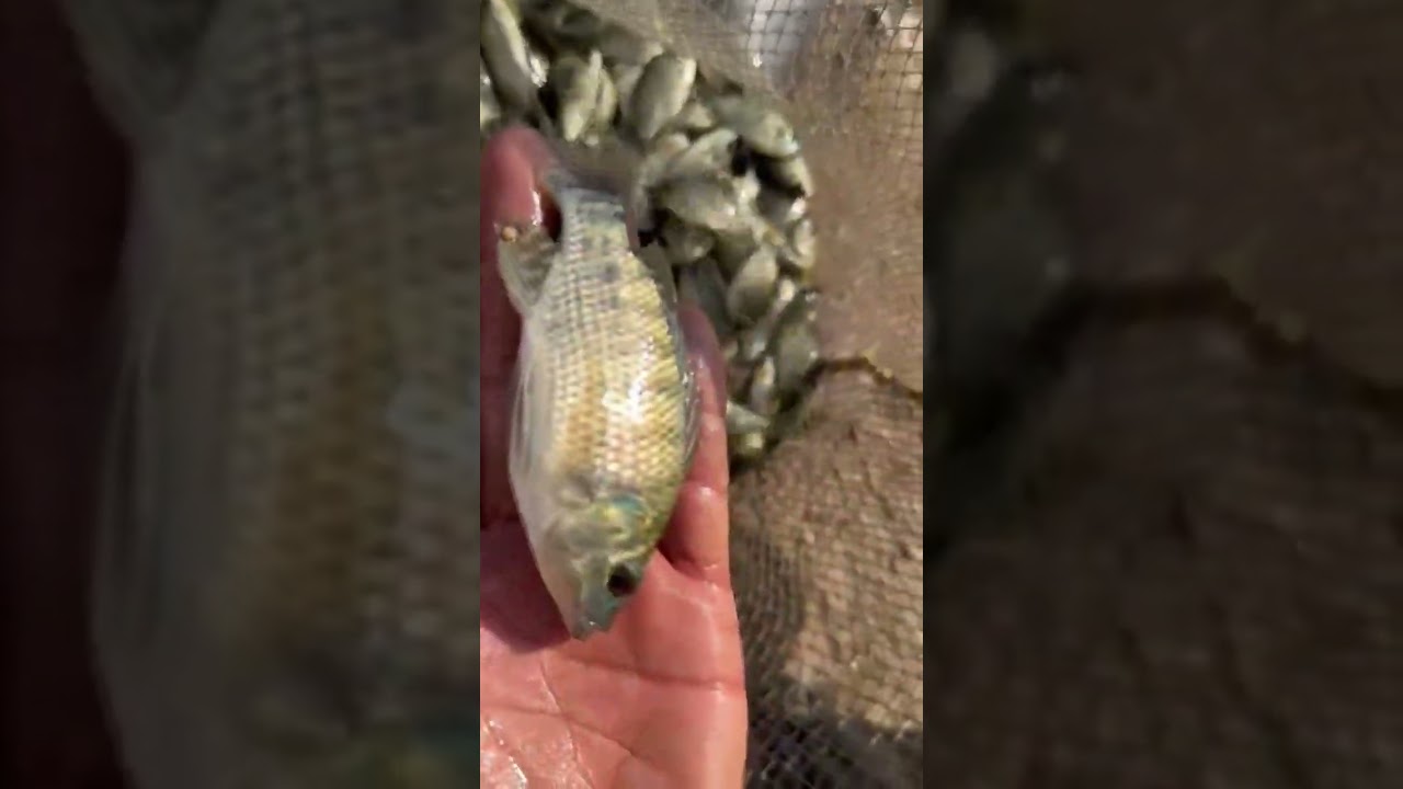 إذا شمّيت هذه الروائح… اعرف أن حوضك في خطر!