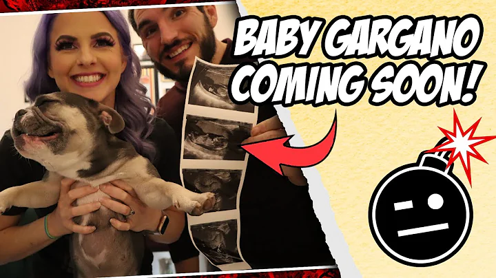 FIRST VLOG! BABY GARGANO COMING SOON!
