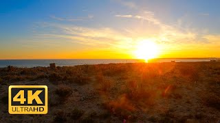 Last rays of sunshine - 12 Hours Live Wallpaper, Screensaver. 4K Ultra HD