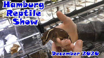 Hamburg Reptile Show December 2020