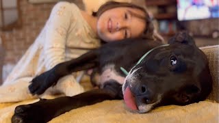 I Love My Little Humans And They Love Me