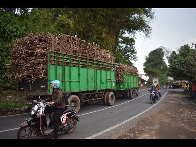 Gambar Truk Gandeng Lucu Gambar Truk Gandeng Lucu