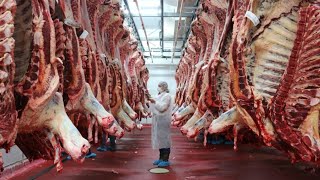 Modern Meat Process With Giant Meat Cutter & Amazing Ham Production You Must See