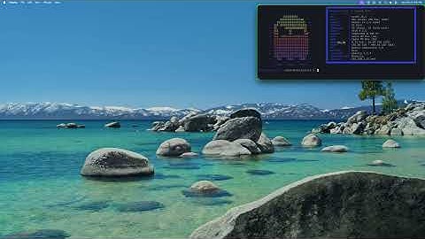 GhosttyFetch (Dynamic - Live Resize)