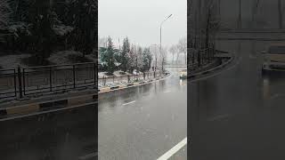 Snowing and Snowfall/ It's Snowing in Dushanbe/ Барф дар Душанбе