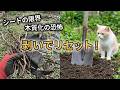 マリーも驚く若返り術!数年後のクラピア再生