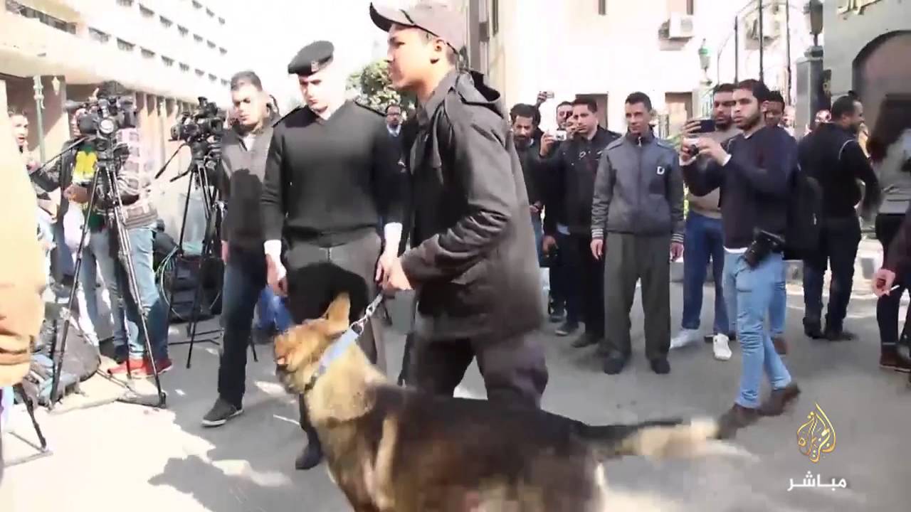 #شاهد .. قوات الأمن المصرية تشدد الإجراءات التأمينية أمام مقر البرلمان