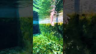 ##میرا_سہنا_پنڈ_ڈھالا کلا _ظلع_قصور💦 #water TikTok foryou #one #million #fypageシpppppp 🌱🌴🌿🍂🥀