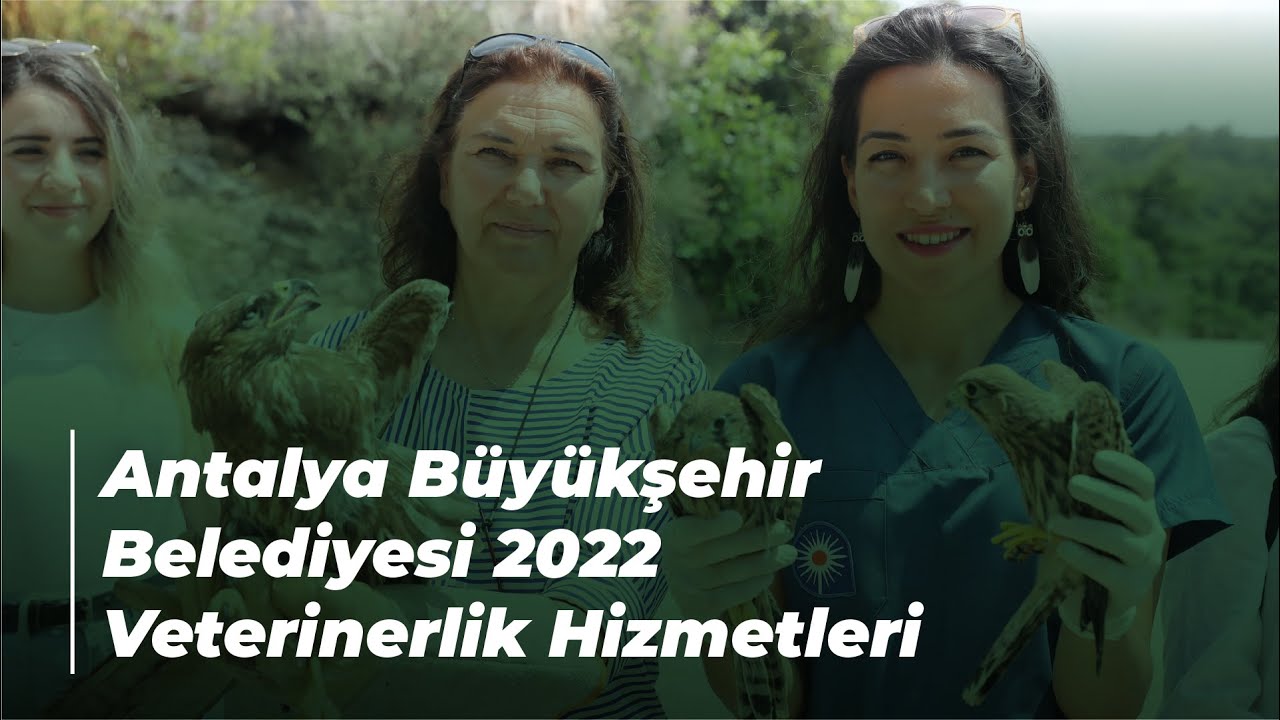 Antalya Büyükşehir Belediyesi 2022 Veterinerlik Hizmetleri