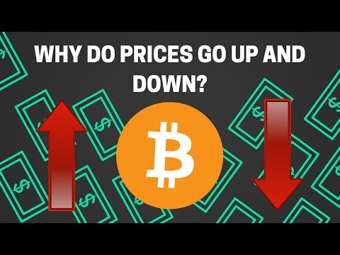 Why The Value Of Digital Currencies Rise And Fall