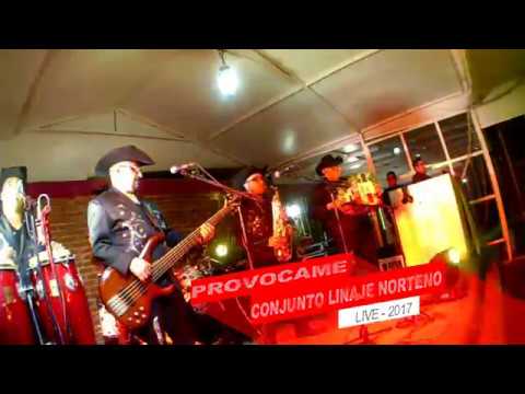 PROVOCAME EN VIVO
