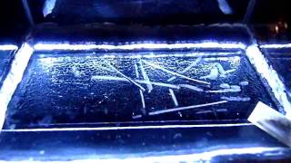 Thorite in a Cloud Chamber