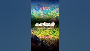 تلاوة خاشعة بصوت يريح النفس #elmulquranعلم #قران_كريم #تلاوة #المصحف #trend #اكسبلور #aslam
