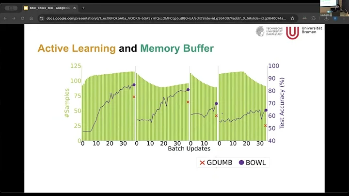 BOWL: A Deceptively Simple Open world Learner - CoLLAs 2025