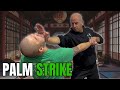 Open Palm Strikes For Self Defence