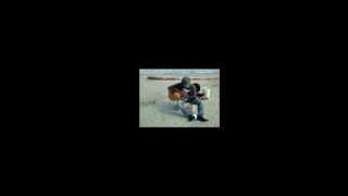 ♪朝花／樋口了一（仙台・深沼海岸Rec2004:10:04）