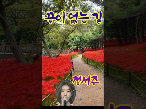 끝이 없는 길 정서주