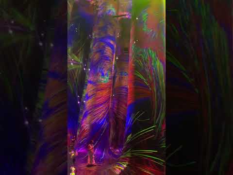 Sensory #teamlabs by K!NG ZER0