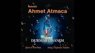 Durmaz Lisanım — Ahmet Atmaca kapak görseli