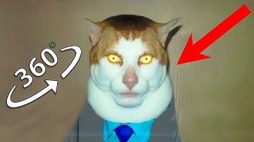 The Monday Left Me Broken Cat Finding Challenge 360º VR Video