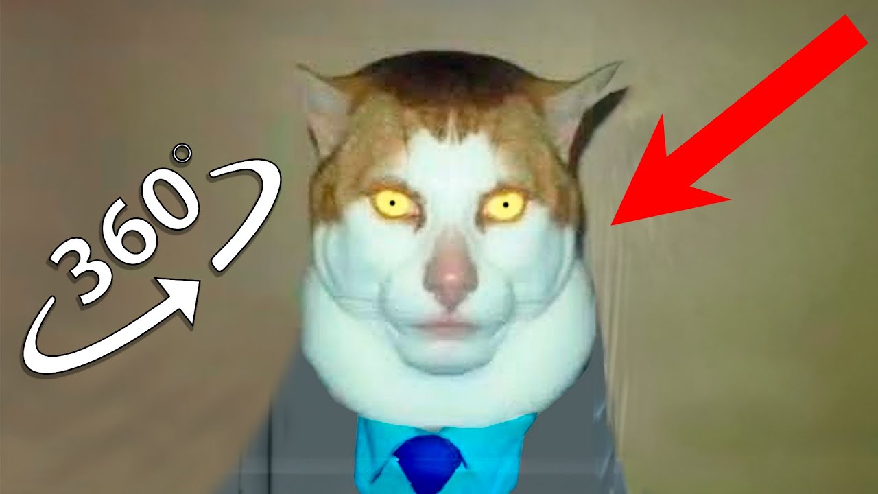 The Monday Left Me Broken Cat Finding Challenge 360 VR Video YouTube