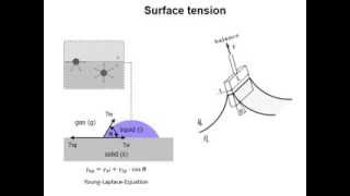 Surface Tension