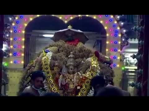 விடுக வழி விடுக வாரர் சண்முகர்|Tamil murugan whatsapp status|shanmuga saranam|#kayalniki#tiruchendur