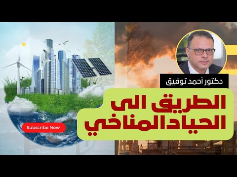 الطريق إلى الحياد المناخي