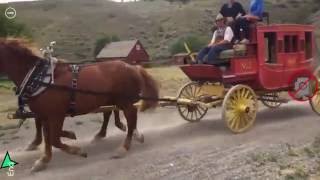 Augmented Reality Camel at Hat Creek Ranch with QuestUpon screenshot 1