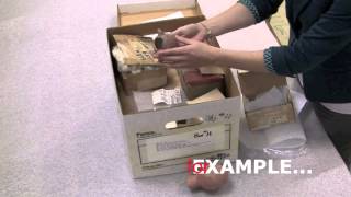 Volunteering at the Harvard Semitic Museum