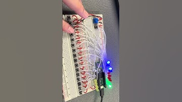 Final Projects Week 1 Progress Report