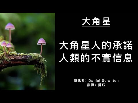 【大角星訊息】大角星人的承諾 & 人類的不實資訊