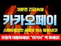 [카카오페이 전망] 스테이블코인 비상사태 난리났다! 영상보고 대응하세요 미친듯이 올라갈 자리도 함께 공개 영상필수시청!