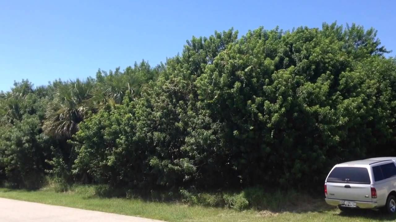 132 Hinchman Av Sebastian Fl 32958