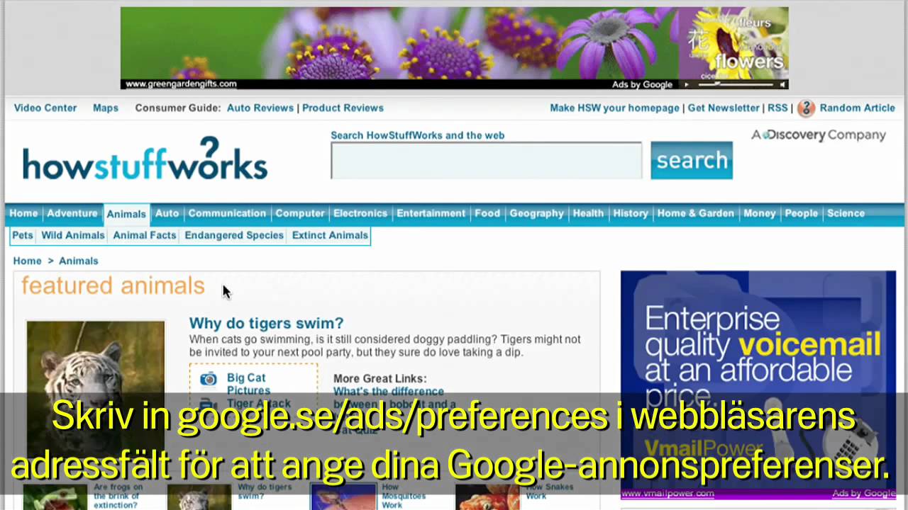 Google och sekretess: Intressebaserad annonsering