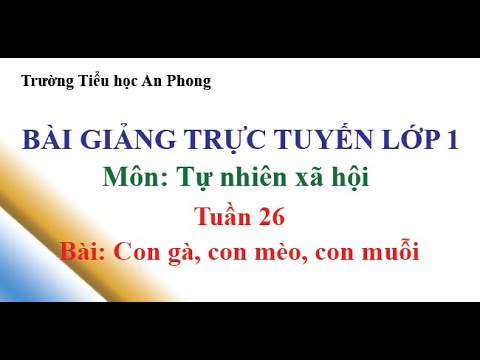 Lớp 1 - Tuần 26 - Môn: TNXH - Bài: Con gà, con mèo, con muỗi