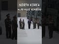 North koreas hwasong 11d missile system mass production