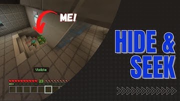 Escaping the Seeker! | Hive Hide and Seek