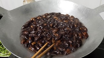 Bắt rầy lá chiên nước mắm ai đã từng ăn món ngon này , làm món rừng đãi khách VIP