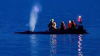 Fading Hopes As Rescuers Attempt To Refloat Stranded Humpback Whale On Germanys Baltic Coast