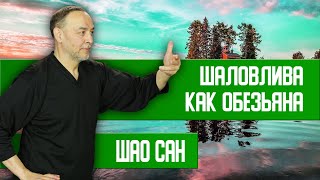 Легкость, Игривость, Стремительность, Ловкость И Хитрость | Шао Сан