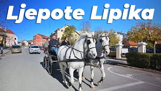 Ljepote I Znamenitosti Lipika
