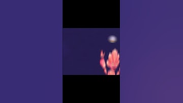 Jeeode Does Not Find You Funny - My Singing Monsters Meme